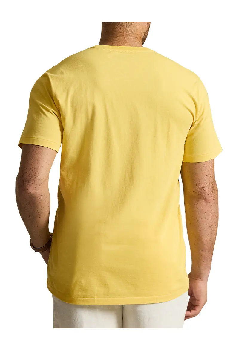 Big & Tall Classic Fit Jersey Crewneck Pocket Tee
